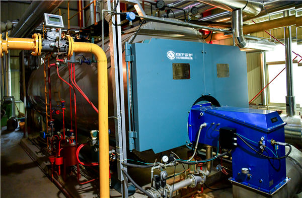 工業(yè)鍋爐品牌十大排名