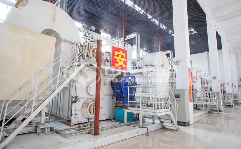 生物質(zhì)蒸汽鍋爐15t實拍