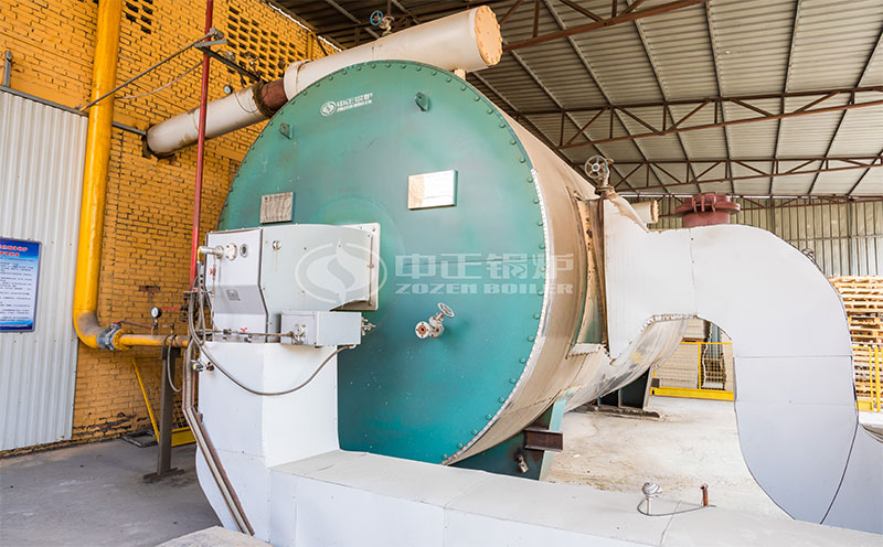 12噸鍋爐客戶案例圖片
