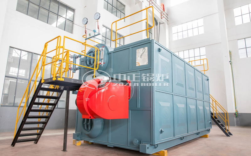 12噸鍋爐客戶案例圖片