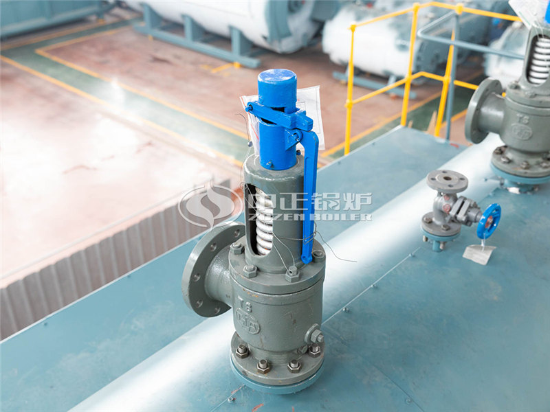 十噸燃?xì)庹羝仩t價(jià)格貴嗎