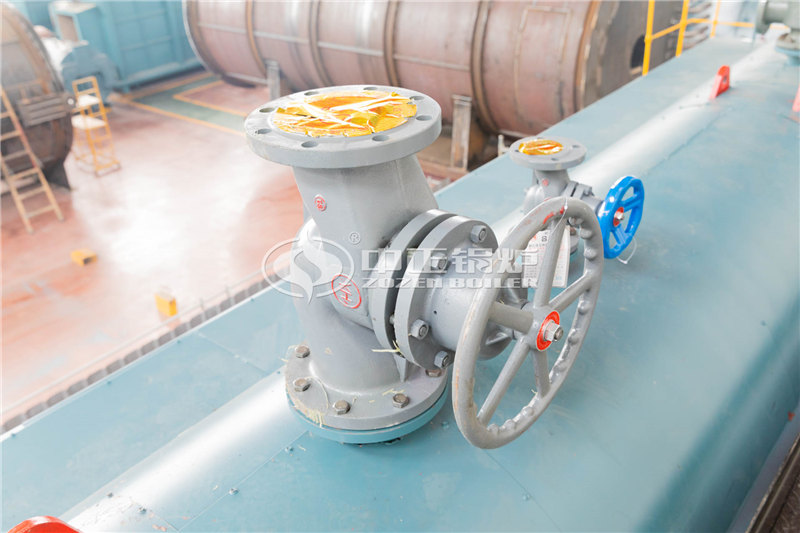 20T天然氣蒸汽鍋爐出廠價